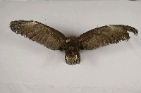 藏品(林鵰)的圖片